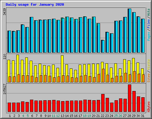 Daily usage for January 2020