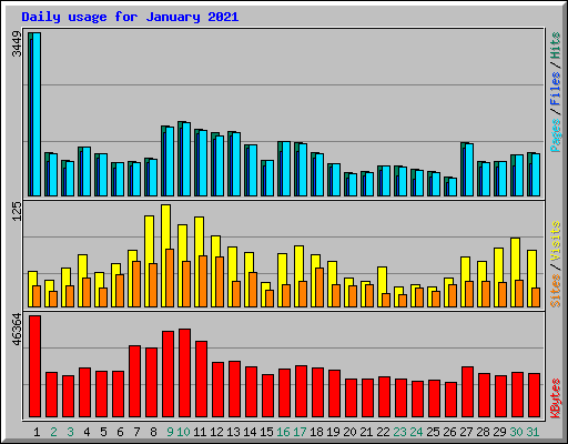 Daily usage for January 2021