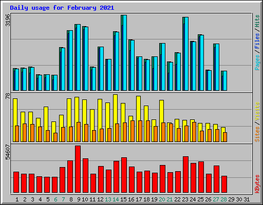 Daily usage for February 2021