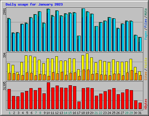 Daily usage for January 2023