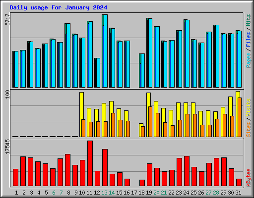Daily usage for January 2024