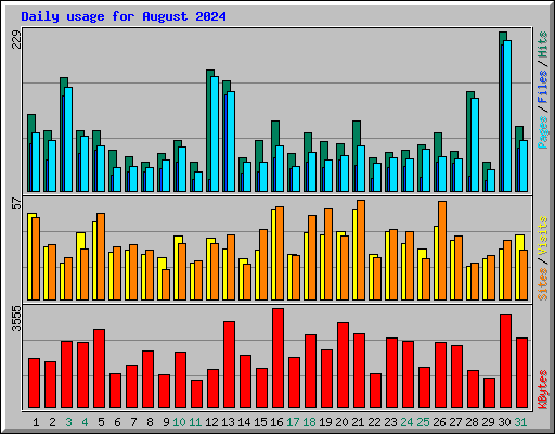Daily usage for August 2024