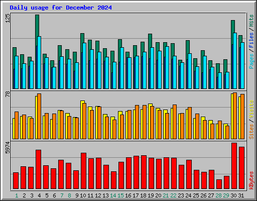 Daily usage for December 2024