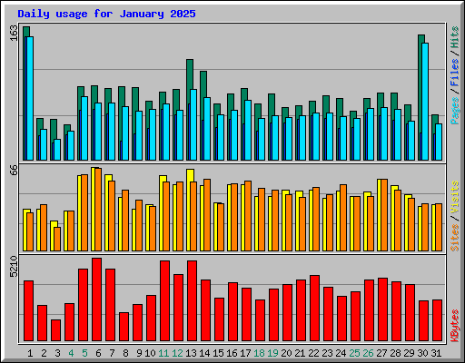 Daily usage for January 2025