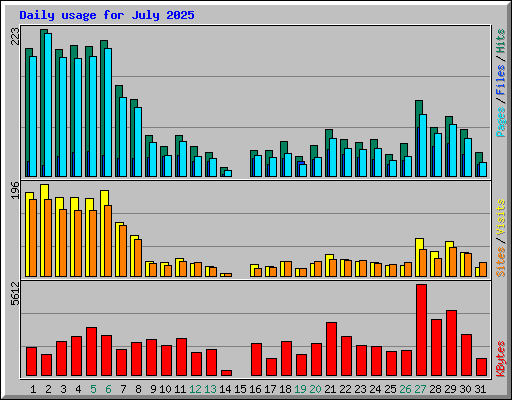 Daily usage for July 2025