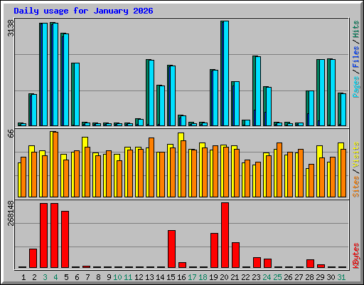 Daily usage for January 2026