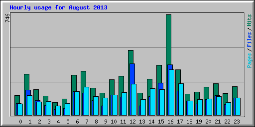 Hourly usage for August 2013