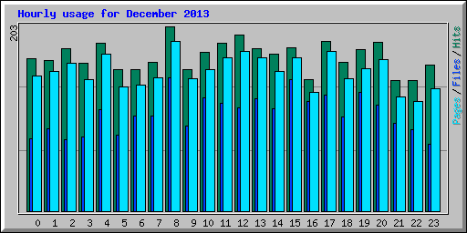 Hourly usage for December 2013