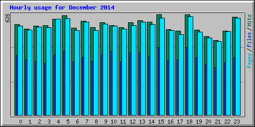 Hourly usage for December 2014
