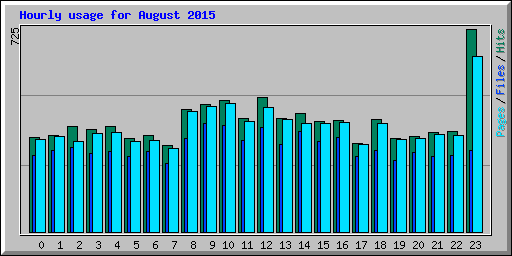 Hourly usage for August 2015
