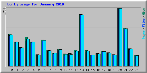 Hourly usage for January 2016
