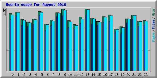 Hourly usage for August 2016