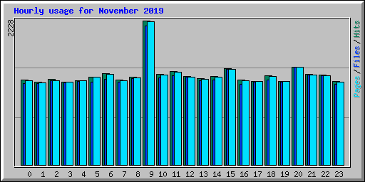Hourly usage for November 2019