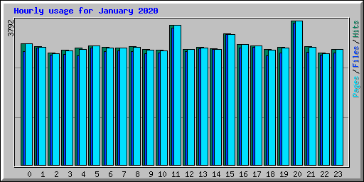 Hourly usage for January 2020