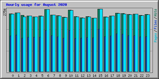 Hourly usage for August 2020