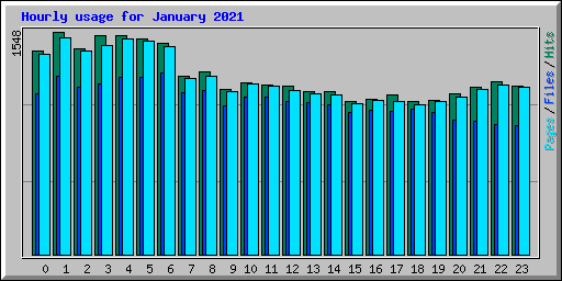 Hourly usage for January 2021