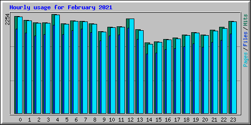 Hourly usage for February 2021