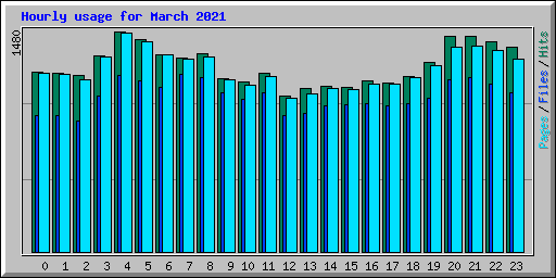 Hourly usage for March 2021