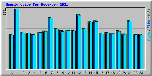 Hourly usage for November 2021