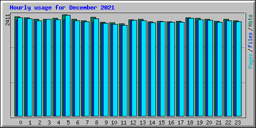 Hourly usage for December 2021