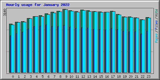 Hourly usage for January 2022