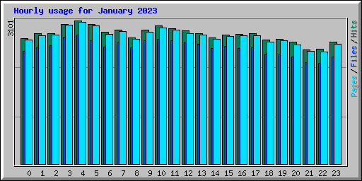 Hourly usage for January 2023