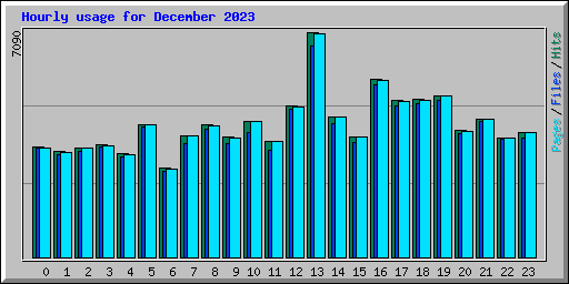 Hourly usage for December 2023