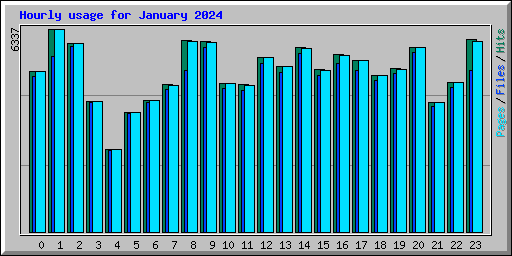 Hourly usage for January 2024