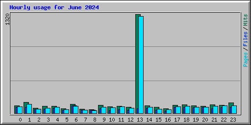 Hourly usage for June 2024