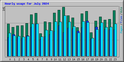 Hourly usage for July 2024