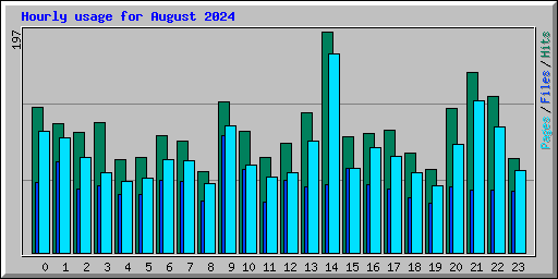 Hourly usage for August 2024