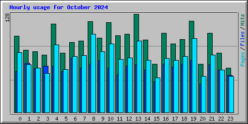 Hourly usage for October 2024