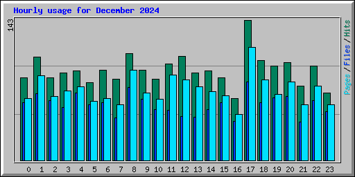 Hourly usage for December 2024