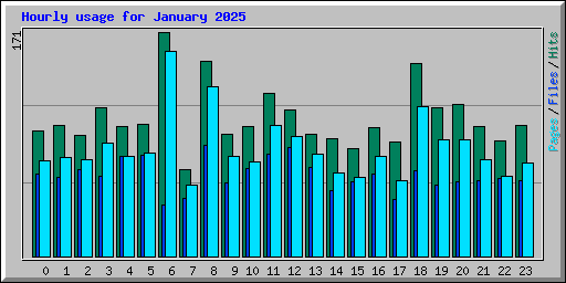 Hourly usage for January 2025
