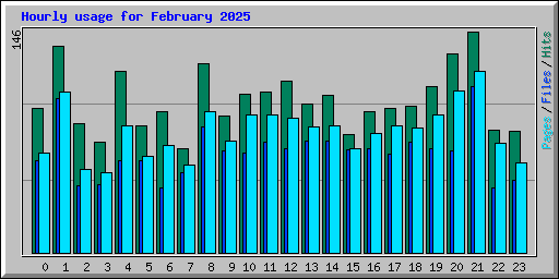 Hourly usage for February 2025