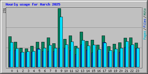 Hourly usage for March 2025