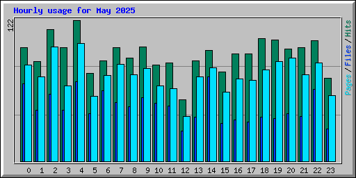 Hourly usage for May 2025