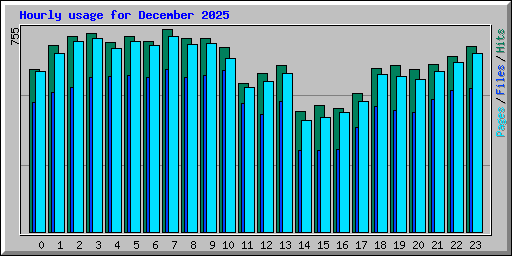 Hourly usage for December 2025