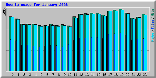 Hourly usage for January 2026