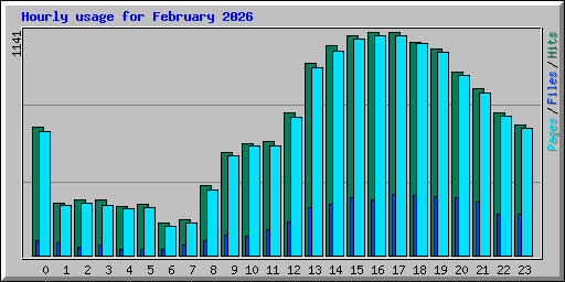 Hourly usage for February 2026
