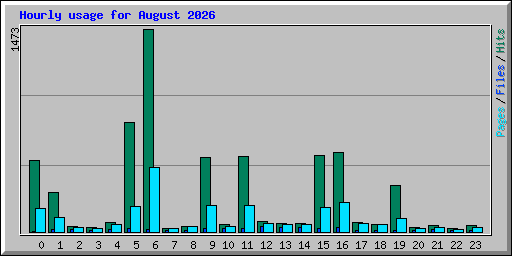 Hourly usage for August 2026